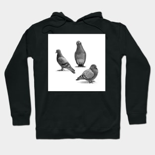 Three Pigeons Hoodie